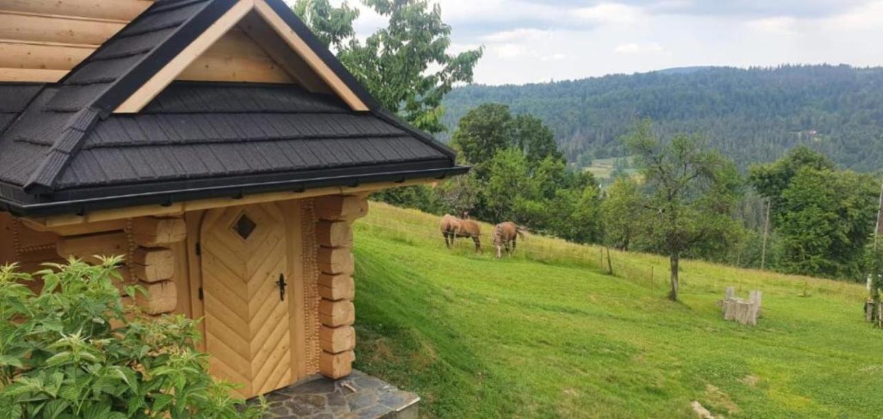 Willa Dom pod Baranią Wisła Zewnętrze zdjęcie